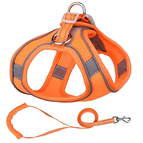 Sicherheitswesten Reflektierende Hundegeschirr Leine Set Nylon Haustier Katze Harness Hundeleine Verstellbare Haustiergurtweste for Welpen Medium Hund Haustierbedarf Reflektierende Westen (Color : Or von AGBARR