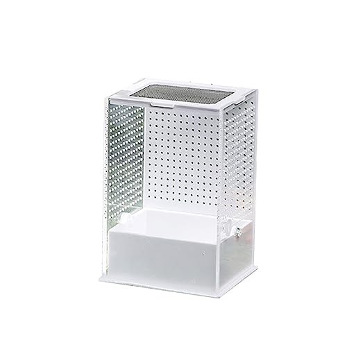 Transparente Futterbox mit Deckel für Geckos Supplies Transparente Futterbox Behälter Tanks von AGONEIR