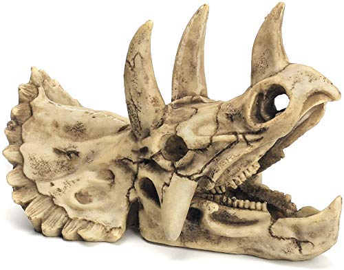 Aquarium Dekorationen Dinosaurier Triceratops Schädel Dekor Harz Made Skull Modell für Reptilien Versteck Fisch Aquarium Zubehör Home Bar Dekor (L Totenkopf) von AGUMARK