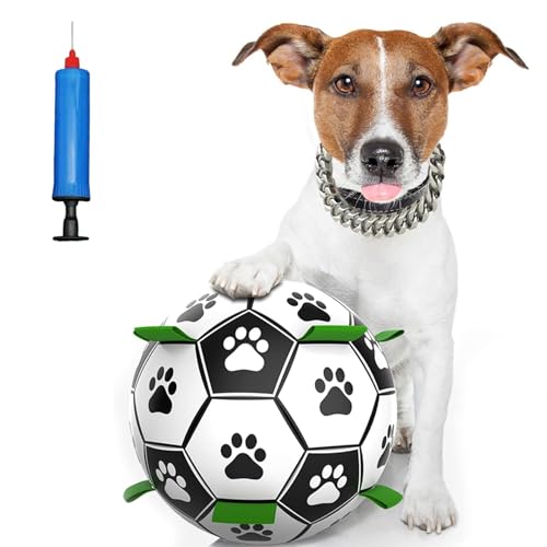 AHEJIOO Hundespielzeug Ball, Spielball Hund 15CM, Interaktiver Schwimmender Ball mit Ballpumpe, Indoor & Outdoor Hundeball für Kleine und Mittelgroße Hunde von AHEJIOO