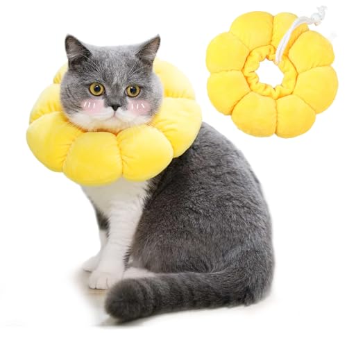 Halskrause Katze, Elisabethanisches Katzenhalsband, Katzen Halskrause, Katze Halskrause, Halskrausen Für Katzen, Leckschutz Katze, Halskrause Katze Weich, Katzenbody, Katzen von AHEJIOO