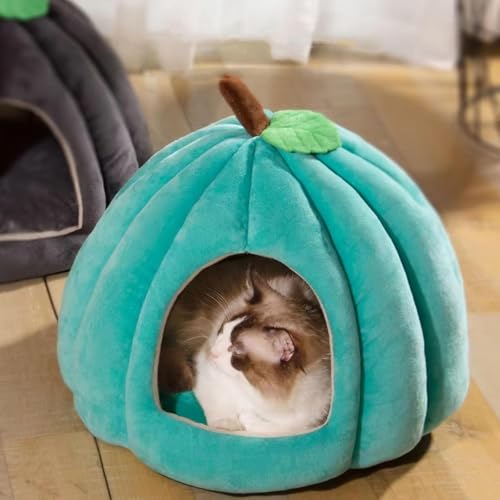 AHSBND 1pcs Cat Cave Katzenbett Kürbis-Form Halloween Cat Cave Bett Geschlossene Thermische Katzenhaus Weich Bequeme Dampproof-Katzenbetten Für Innenkatzen(Peacock Blue,38 * 38 * 32CM) von AHSBND