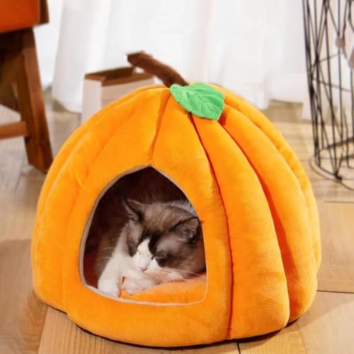 AHSBND Kürbis-Katzenbett, Katzenbetten Für Hauskatzen, Halloween-Katzenbett, Süßes Katzenhöhlenbett Im Kürbis-Stil, Katzenhauszelt Für Katzen Und Hunde(Orange,56 * 56 * 43CM) von AHSBND