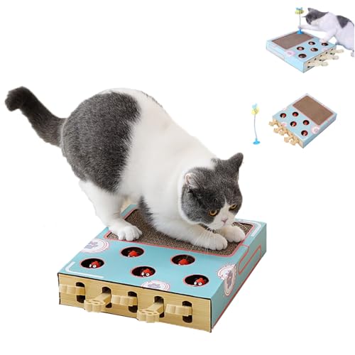 Katzenspielzeug Whack Einen Maulwurf Katzenkratzpad: Miaofairy Interaktives 3-in-1 Cat Scratcher Puzzlespielzeug für Hauskatzen Anreicherung Indoor von AHSBND