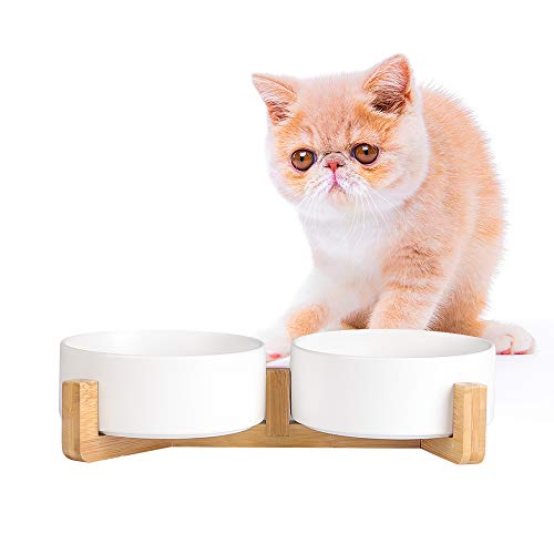 AHX Futternapf Katze 2er Set mit Holzständer - Doppelter Katzennapf Keramik für Wasser und Futter - Fressnapf Hund Klein - 2 x 480 ml von AHX