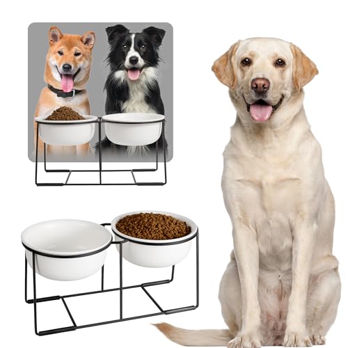 Hundenapf Set Erhöht Hundenäpfe Keramik - Doppel Fressnapf Hund Groß mit Rutschfestem Metallständer - Hunde Napfset für Futter Wasser - Ideal für Mittelgroße und Große Hunde - 2 x 1600 ml - Mattweiß von AHX