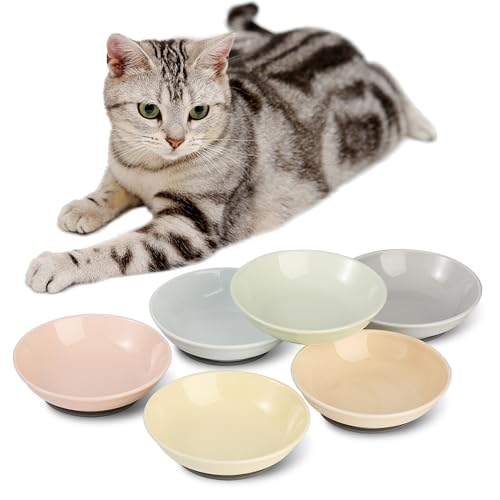 Katzen Futternapf Fressnapf Katze Keramik - Katzennapf Set mit Antirutsch Matte - Bunte Katzennäpfe - Katzenfutter Napf - Katzenschüssel Flach - Futterschale Katze - Katzen Napfset - 6 Stück - 250 ml von AHX