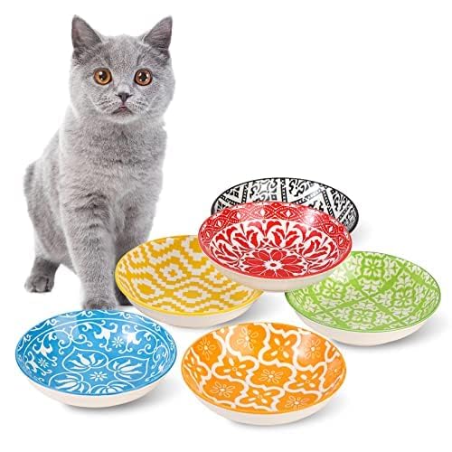 Katzen Futternapf Napf Katze Keramik - Bunte Katzennäpfe 6er Set - Katzennapf Porzellan - Fressnapf Katze - Futterschale Katze - Katzenschüssel - Katzenteller Flach - Katzenfutter Napfset - 250 ml von AHX