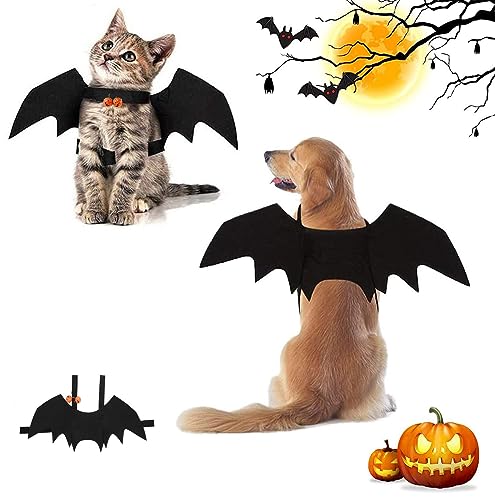 Fledermausflügel Katze,Halloween Fledermaus Kostüm Flügel mit Kürbisglocke,Haustier Fledermaus Kostüm Niedlich Halloween Kostüm für Haustiere Cosplay-Kostüm für Mittleren Hund Katze für Partys(M) von AHYDFSR