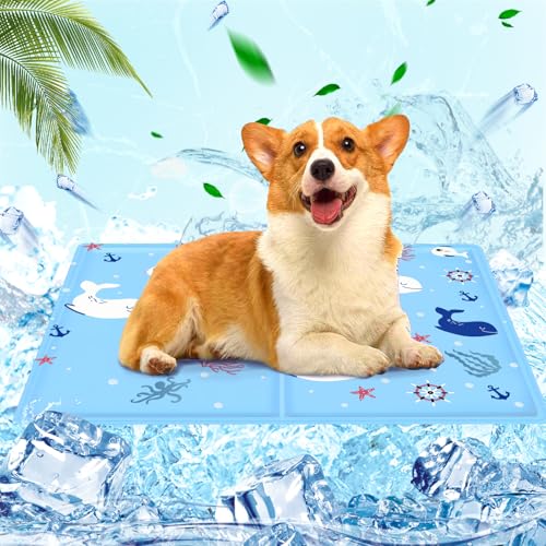 Kühlmatte Hunde Katzen, Kühlmatte für hunde, Kühlmatte für katzen, Kühldecke für hunde Wasserdicht & Kratzfest, Hunde kühlmatte verwenden selbstkühlend mit ungiftiges gel, 40×50cm, Blauer Joan-Fisch von AHYDFSR