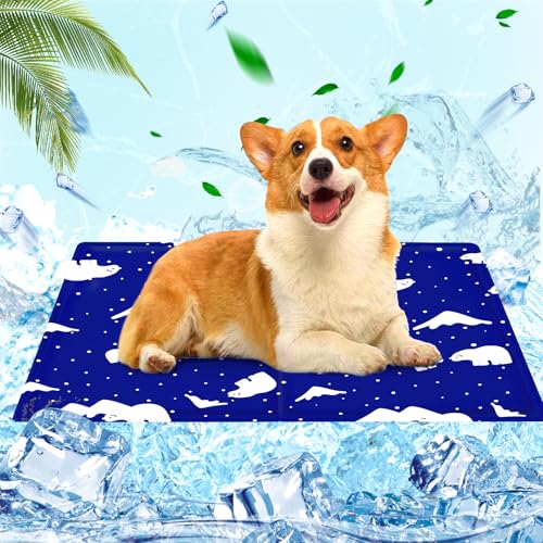 Kühlmatte für Hunde - Hunde kühlmatte für Hund & Katze, Haustier Kühlmatte, Dog Cooling Mat Kühlmatte Haustier, Wasserdicht & Kratzfest, Kühl Hundedecke, für Haustiere & Mensch, 40×50cm,Königsblau Bär von AHYDFSR