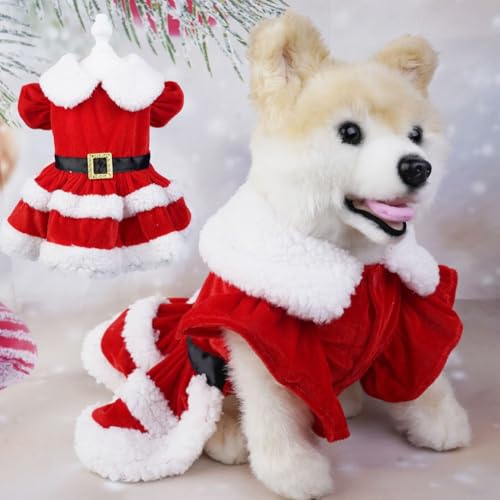 AIDNTBEO Niedliche Weihnachtskleidung für Haustiere, Samtmantel für Katzen und Hunde, Welpenanzug für Teddy, Terrier, Chihuahua, Zwergspitz, Größe L von AIDNTBEO