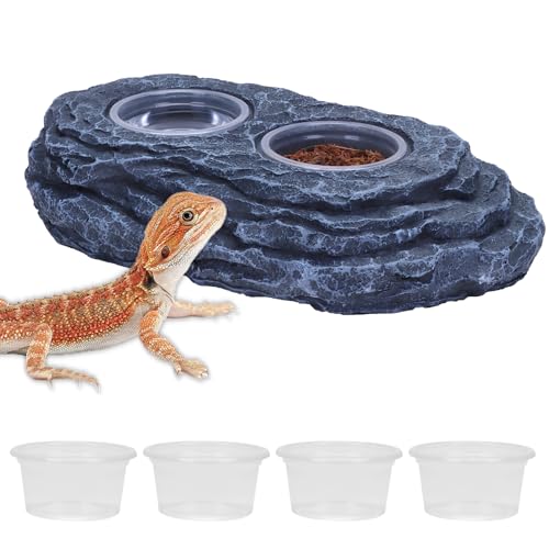 AIICIOO Crested Gecko Futternapf und Wassernapf für Haustiere, starker magnetischer Futternapf und Wassernapf mit 6 Stück Kunststoff-Reptilien-Futterbecher für Frosch, Chamäleon, Schildkröte, von AIICIOO