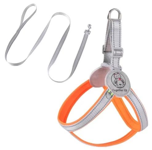 AILEVERS Easy Walk Hundegeschirr, kein Ziehen, Hundegeschirr mit Halsband und Leine, für kleine, mittelgroße Hunde und Katzen, im Freien, Spazierengehen, Laufen, Hundeweste, Geschirre (Orange, M) von AILEVERS