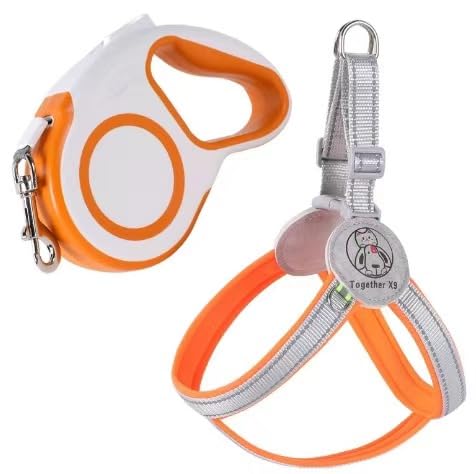 AILEVERS Easy Walk Hundegeschirr, kein Ziehen, Hundegeschirr mit Halsband und Leine, für kleine, mittelgroße Hunde und Katzen, im Freien, Spazierengehen, Laufen, Hundeweste, Geschirre (Orange +, M) von AILEVERS