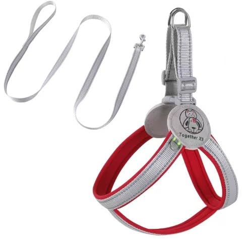 AILEVERS Easy Walk Hundegeschirr, kein Ziehen, Hundegeschirr mit Halsband und Leine, für kleine, mittelgroße Hunde und Katzen, im Freien, Spazierengehen, Laufen, Hundeweste, Geschirre (Rot, M) von AILEVERS