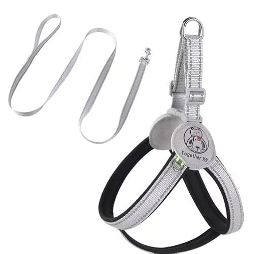 AILEVERS Easy Walk Hundegeschirr, kein Ziehen, Hundegeschirr mit Halsband und Leine, für kleine, mittelgroße Hunde und Katzen, im Freien, Spazierengehen, Laufen, Hundeweste, Geschirre (Schwarz, M) von AILEVERS