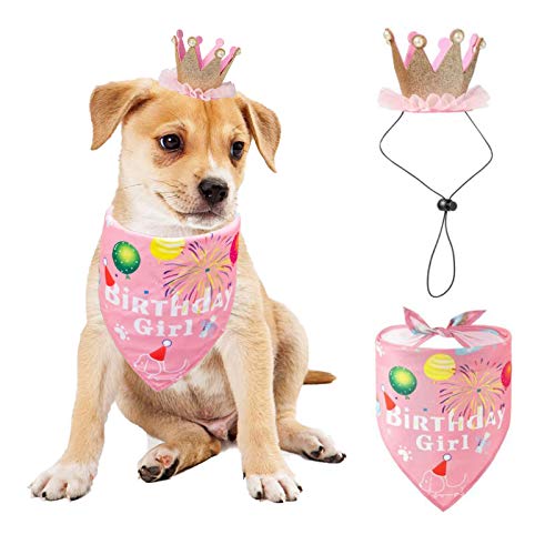 Hund Geburtstag Bandana Hut Set, Hund Geburtstag Party Supplies Hund Bandana Junge Mädchen Welpe Geburtstag Hut Schal für kleine mittlere Hunde Haustier (Rose) von AIMICOCA