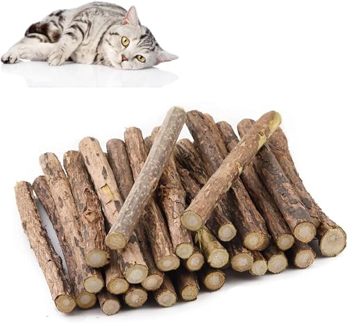 Matatabi Katzen Kauhölzer, Katzenminze Sticks,Matatabi-Kausticks Katzenspielzeug,32 Stück Katzenminze Sticks, Katzensticks Zur Zahnreinigung Katzen Zahnpflege Spielzeug Dental Kausticks Cat Chewing von AIPWEYT Store