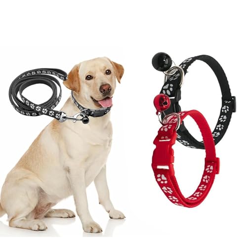 Welpenhalsbänder mit Leine,Hundehalsband und Leine Set,Verstellbares Hundehalsband Schnellverschluss Weich Nylon Verstellbares Weich Nylon Haustier Halsband für Welpen Kleine Mittlere Hunde,2PC von AIPWEYT Store