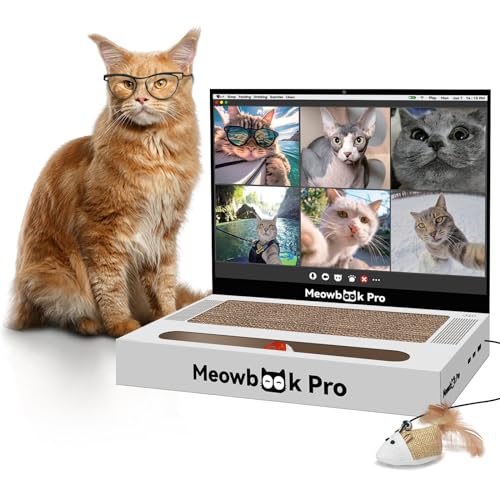 AIWEILUCK Katzenkratzer Laptop mit 'Maus' Jingle Ball, Aufkleber, 3 in 1 Karton Katze Interaktives Spielzeug, Kätzchen Spielzeug & Katze Kratzpad von AIWEILUCK