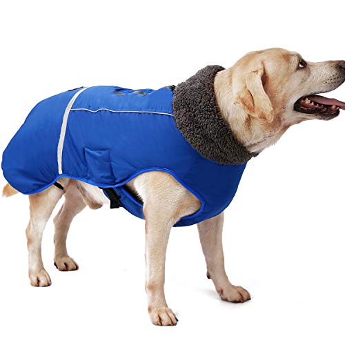 AIWOKE Großer Hund Wasserdichter Hundemantel Winterjacke, Haustier Kleidung Outdoor Winddicht Schneeanzug Reflektierende Wärmster Hundemantel für kleine mittelgroß Hunde mantels (S, Blau) von AIWOKE