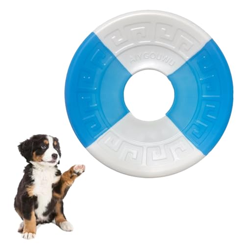 AIYGOUWU Hundespielzeug für Hunde, Naturkautschuk, für Geschwindigkeitstraining, präzises Apportieren, ideal für Strand und Pool, 15,2 cm Durchmesser für mittelgroße und kleine Rassen (blau + weiß) von AIYGOUWU