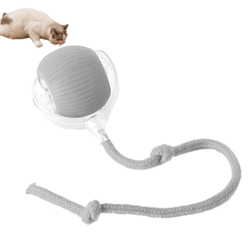 AJUYOL Interaktiver Katzenball für drinnen, rollender Ball zur Unterhaltung der Katze, automatischer beweglicher Ball, Spielzeug für drinnen, wiederaufladbares, bewegungsaktiviertes Spielzeug (Grey) von AJUYOL