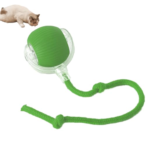 AJUYOL Interaktiver Katzenball für drinnen, rollender Ball zur Unterhaltung der Katze, automatischer beweglicher Ball, Spielzeug für drinnen, wiederaufladbares, bewegungsaktiviertes Spielzeug (Green) von AJUYOL