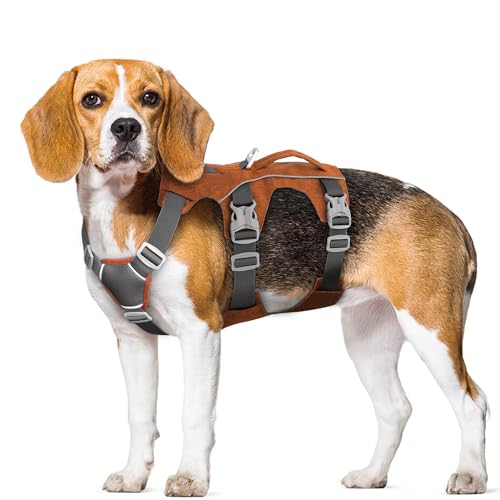 AKAILEA Hundegeschirr Kleine Hunde Ausbruchsicher Hundegeschirr mit Griff - Reflektierende Hundeweste, atmungsaktiv, weiches Ganzkörpergeschirr für kleine Hunde Gassigehen, Training (Orange, S) von AKAILEA