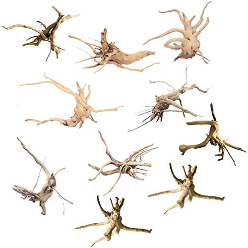 AKAZI Mini Treibholz für Aquarium Zweige Aquarium Dekorationen Reptilien Stamm Treibholz Sortiert (10 Pack) von AKAZI