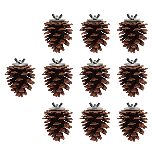 10 Stück Bird Bite Pine Co – Kauspielzeug Für Sittiche, Nymphensittiche, Sittiche, Finken, Wellensittiche, AWS – F Molar Pine Cone Bird Kauspielzeug Für Schnäbel von AKLOSIPY