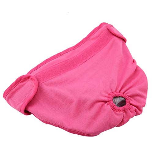 Hunde-Polyester Physiologisches P – Fem Puppy Derwear, Italienische Windel für Hunde, Farbe – Bequeme und Saugfähige Haustierwindel für Fem Dogs (L #04) von AKLOSIPY