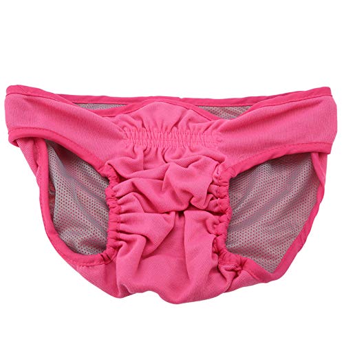 Hunde-Polyester Physiologisches P – Fem Puppy Derwear, Italienische Windel für Hunde, Farbe – Bequeme und Saugfähige Haustierwindel für Fem Dogs (M #03) von AKLOSIPY