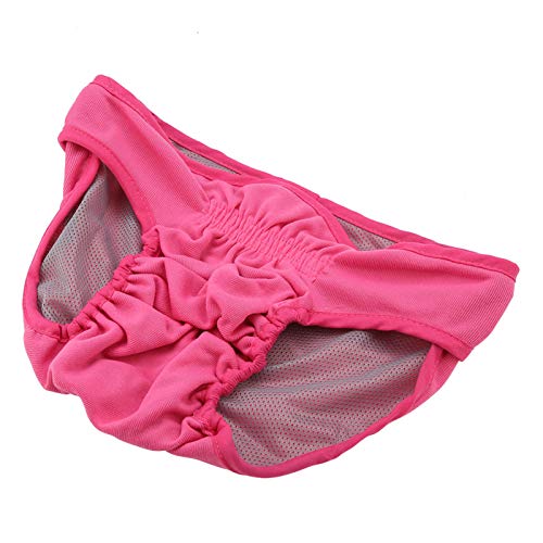 Hunde-Polyester Physiologisches P – Fem Puppy Derwear, Italienische Windel für Hunde, Farbe – Bequeme und Saugfähige Haustierwindel für Fem Dogs (XL #05) von AKLOSIPY