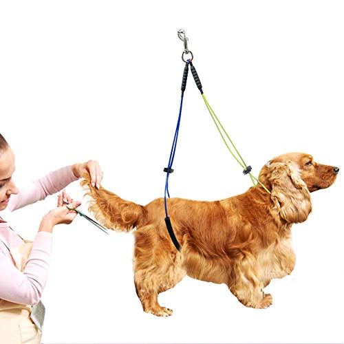 Pet Ooming Le Set für den Ooming Tisch Gelb und Pet Ooming Harn für Hunde Professionelles Dog Ooming Le Kit (Gelb/Blau) von AKLOSIPY