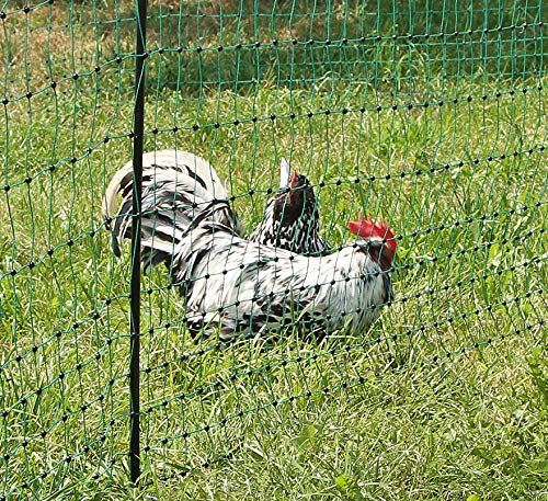 AKO Geflügelnetz, PoultryNet grün, ohne Strom, 112cm, Doppelspitze - 50m - Ideal auch für Kleintiere als optische Barriere - Geringe Maschenweite im unteren Bereich - Hühner, Gänse, Puten, Geflügel von AKO