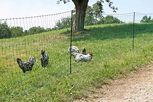 AKO Hühnernetz Geflügelnetz, Elektronetz grün, 112cm Doppelspitze - 50m - Hühner, Gänse, Puten, Geflügel - Kleine Maschenweite im unteren Bereich von AKO