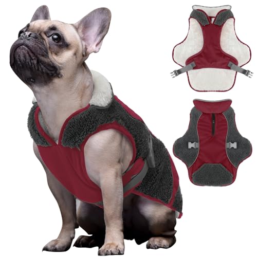 ALAGIRLS Hundemantel Winter Hund Regenmantel Wasserdicht Winter Hundemantel Warm Wasserdicht Hundejacke Welpen Hunde Kleidung Bekleidung Weste Hundemantel für Kleine Hunde ALADC1105-Red-XS von ALAGIRLS