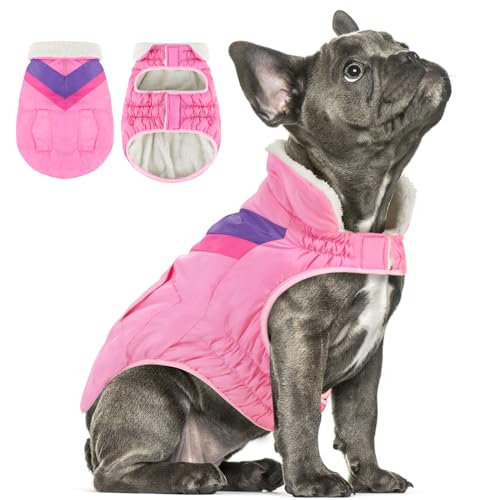 Hundejacke Hundemantel Winter Warme Hundekleidung Hoher Kragen Hundemantel mit Klettverschluss Welpenmantel ALADC1104-Pink-S von ALAGIRLS