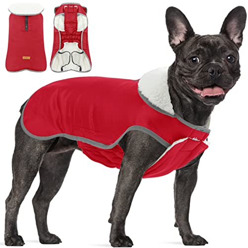 Hundemantel mit Bauchschutz, Wasserdichter Hundemantel Winter Warme Jacke, Fleece Hundejacke Französische Bulldogge, Haustier Hund Warm Mantel Kleidung für Kleine Mittelere Große Hunde, Red L von ALAGIRLS