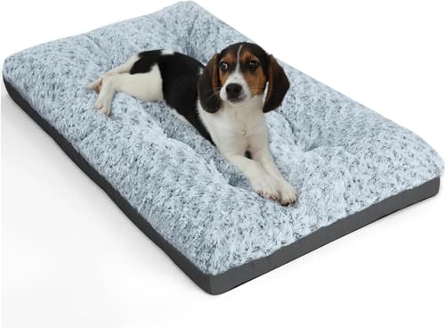 ALANMOND Hundebett Grosse Hunde, Hundekissen flauschig Hundematte mittelgroße Hunde, Waschbar Hundekorb wasserdicht rutschfeste, atmungsaktiv, Haustierbett Hundematratze Grau 76x48 cm ALANMOND Hundebett Grosse Hunde, Hundekissen flauschig Hundematte mittelgroße Hunde, Waschbar Hundekorb wasserdicht rutschfeste, atmungsaktiv, Haustierbett Hundematratze Grau 76x48 cm von ALANMOND