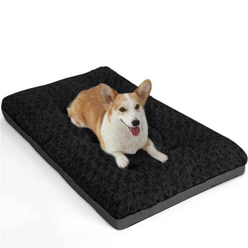 ALANMOND Hundebett Grosse Hunde, Hundekissen flauschig Hundematte mittelgroße Hunde, Waschbar Hundekorb wasserdicht rutschfeste, atmungsaktiv, Haustierbett Hundematratze Schwarz 76x48 cm ALANMOND Hundebett Grosse Hunde, Hundekissen flauschig Hundematte mittelgroße Hunde, Waschbar Hundekorb wasserdicht rutschfeste, atmungsaktiv, Haustierbett Hundematratze Schwarz 76x48 cm von ALANMOND