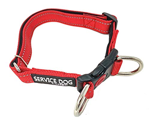 ALBCORP Reflektierendes Hundehalsband mit Kontrollgriff und Servicehund-Patch, gewebtes Nylon, Bequeme Neoprenpolsterung für Training oder Spaziergang mit Ihrem Diensttier, groß, rot von ALBCORP