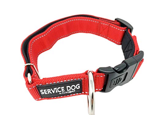 Animal albcorp Hunde Halsband Kontrolle Griff Reflektierende Service Hund Patch. Strapazierfähigem O-Ring Service LEASHES ID Tags. Rot/Schwarz/Blau/Maroon von ALBCORP