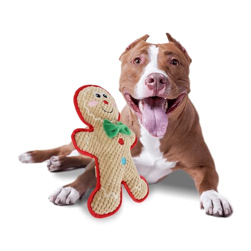 AFP MerryTough Buddy Hundespielzeug, Lebkuchenmann-Design, langlebig mit robustem Futter und pannensicherem Quietscher, extra weiches Plüschmaterial, ideal zum Apportieren, perfektes von ALL FOR PAWS