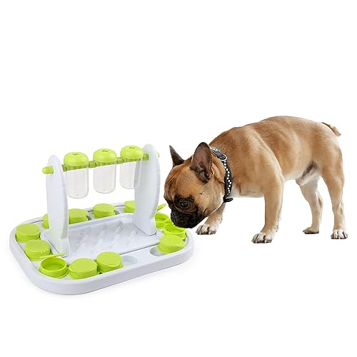 ALL FOR PAWS 2 in 1 Interaktives Hundefutter Puzzle Spielzeug, Spinning Bottle Treat Dispenser, Interaktives Hundespielzeug für Langeweile IQ Training und Mental Brain Stimulation, Slow Feeder von ALL FOR PAWS