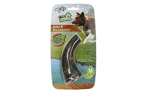 ALL FOR PAWS AFP5532 Kauspielzeug für Hunde Wild & Nature, L von ALL FOR PAWS