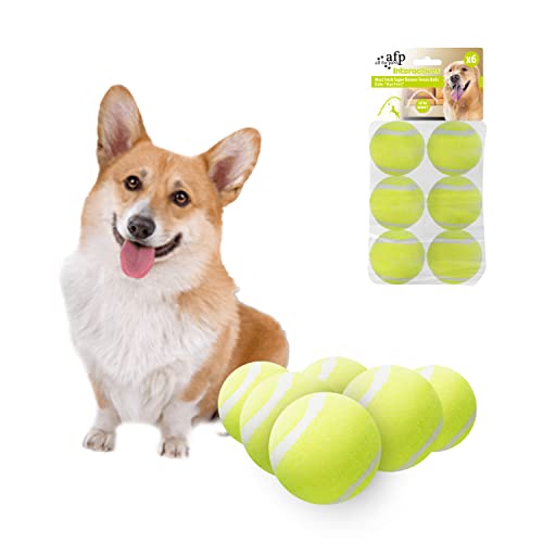 ALL FOR PAWS Automatischer Ballwerfer für Hunde, Ballwerfer für Hunde, interaktives Hundespielzeug, inklusive 3 Tennisbällen für Hunde von ALL FOR PAWS