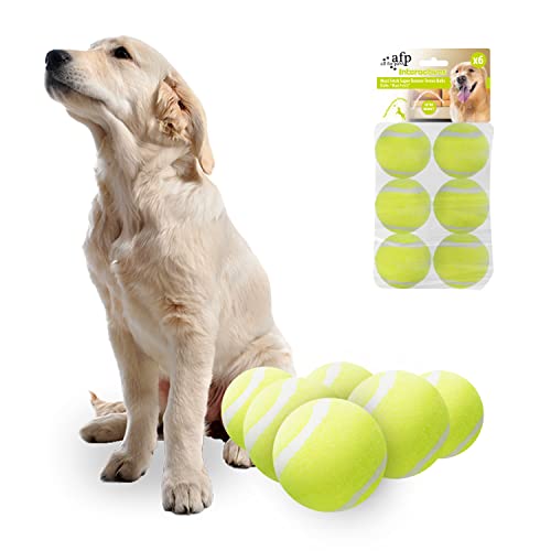 ALL FOR PAWS Automatischer Ballwerfer für Hunde, Ballwerfer für Hunde, interaktives Hundespielzeug, inklusive 3 Tennisbällen für Hunde von ALL FOR PAWS